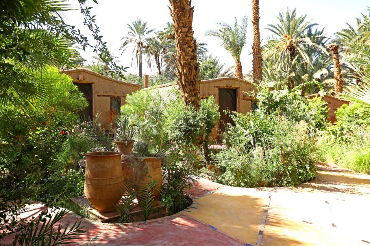 Ecolodge Bab El Oued Maroc Oasis Agdz Luaran gambar
