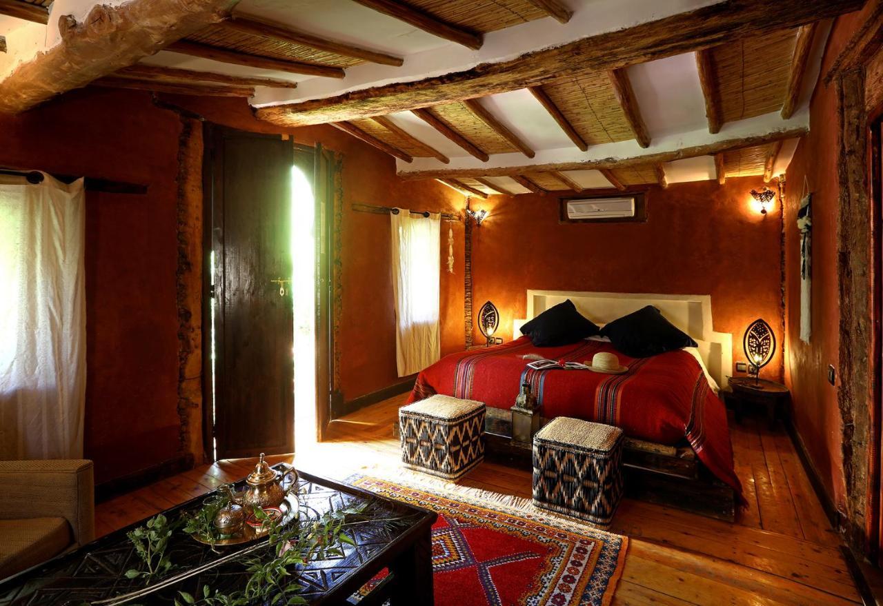 Ecolodge Bab El Oued Maroc Oasis Agdz Luaran gambar