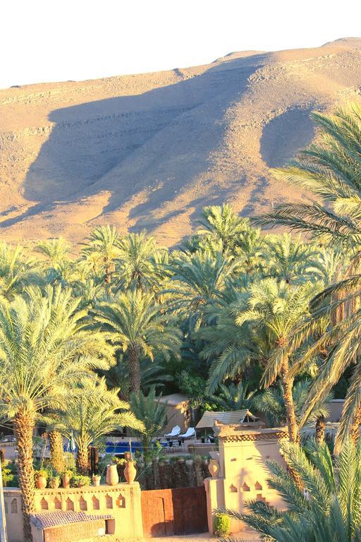 Ecolodge Bab El Oued Maroc Oasis Agdz Luaran gambar