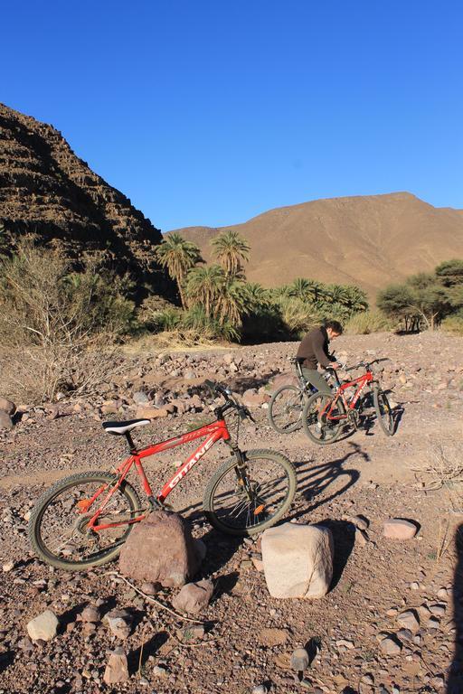 Ecolodge Bab El Oued Maroc Oasis Agdz Luaran gambar