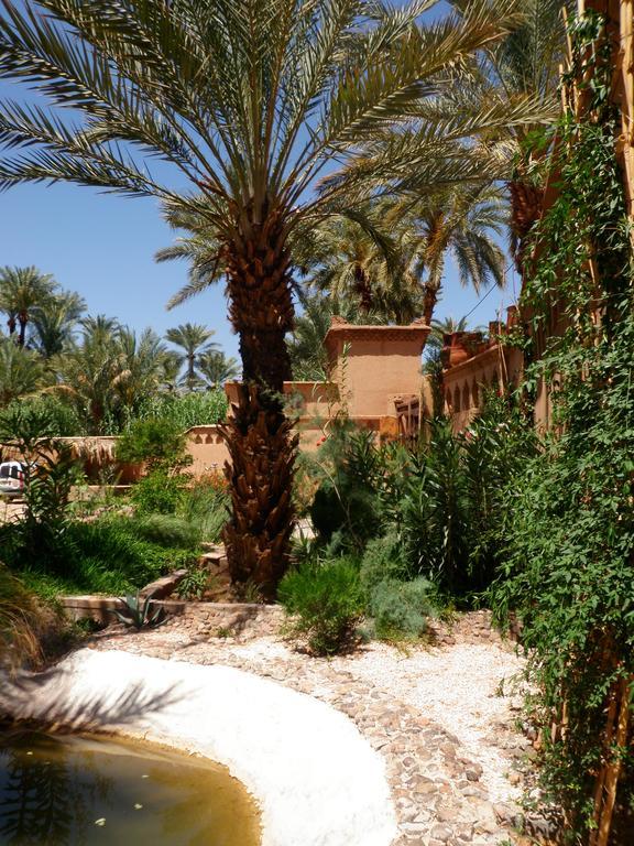 Ecolodge Bab El Oued Maroc Oasis Agdz Luaran gambar
