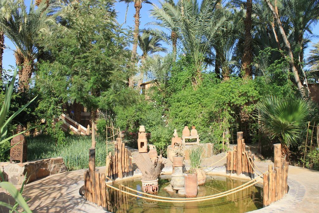Ecolodge Bab El Oued Maroc Oasis Agdz Luaran gambar