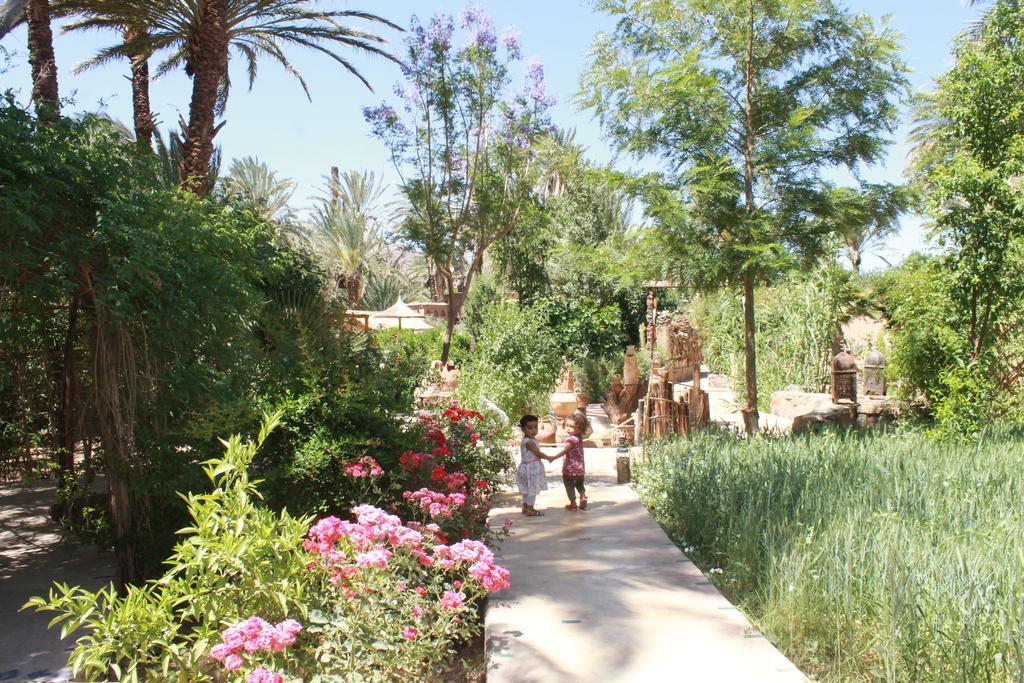 Ecolodge Bab El Oued Maroc Oasis Agdz Luaran gambar