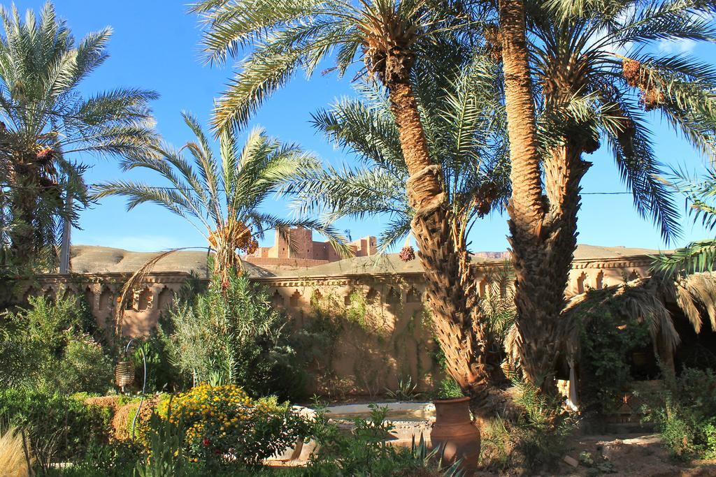Ecolodge Bab El Oued Maroc Oasis Agdz Luaran gambar
