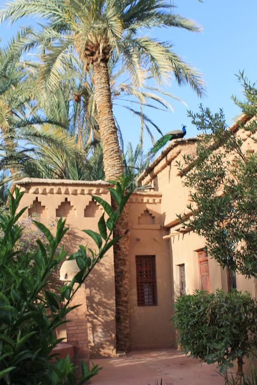 Ecolodge Bab El Oued Maroc Oasis Agdz Bilik gambar