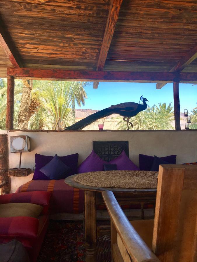 Ecolodge Bab El Oued Maroc Oasis Agdz Luaran gambar