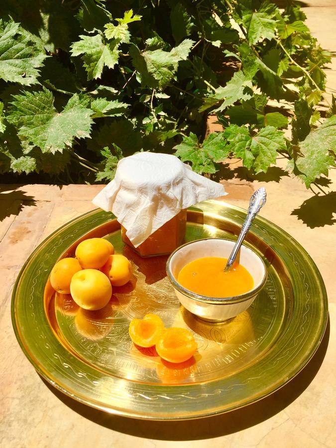 Ecolodge Bab El Oued Maroc Oasis Agdz Luaran gambar