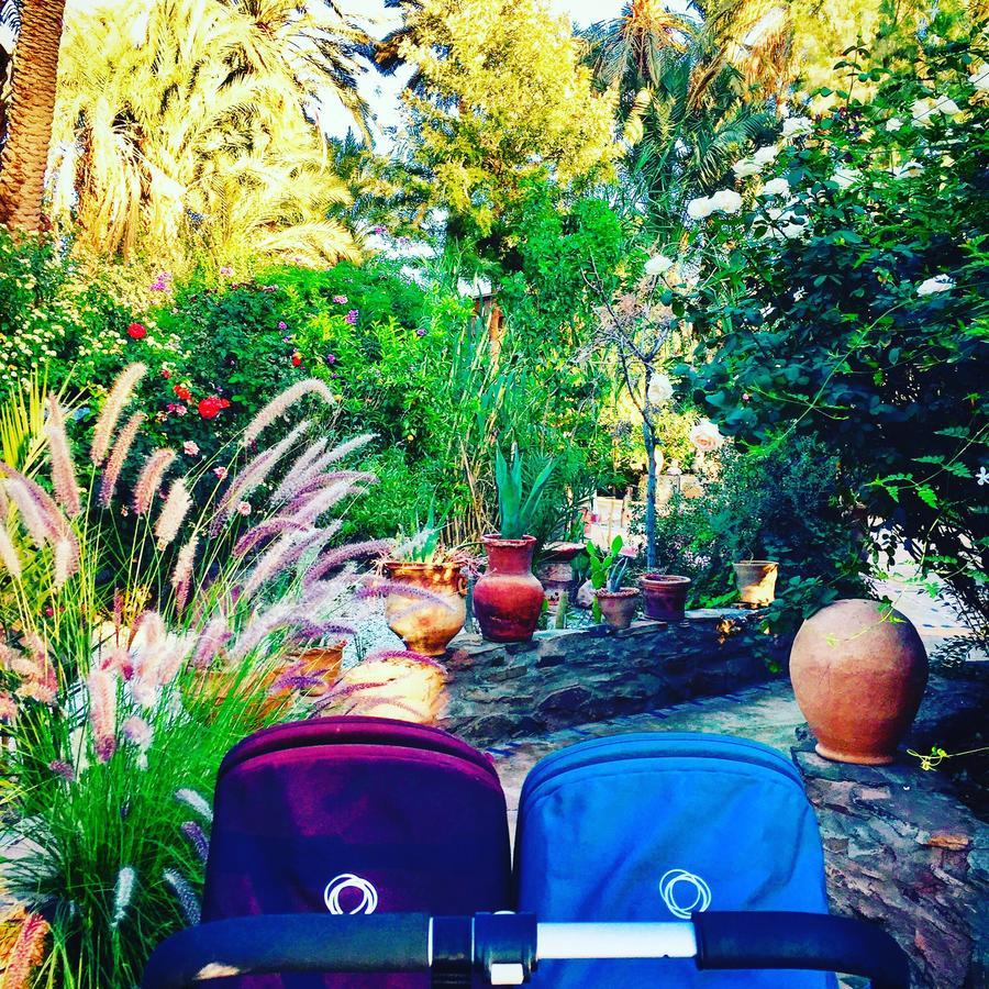 Ecolodge Bab El Oued Maroc Oasis Agdz Luaran gambar